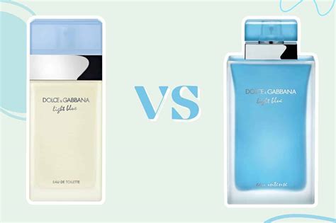 zara dolce gabbana light blue|Dolce & Gabbana Light Blue vs Zara FRSH 003/FRV.